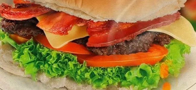 Gugu Lanches Arara Dicas