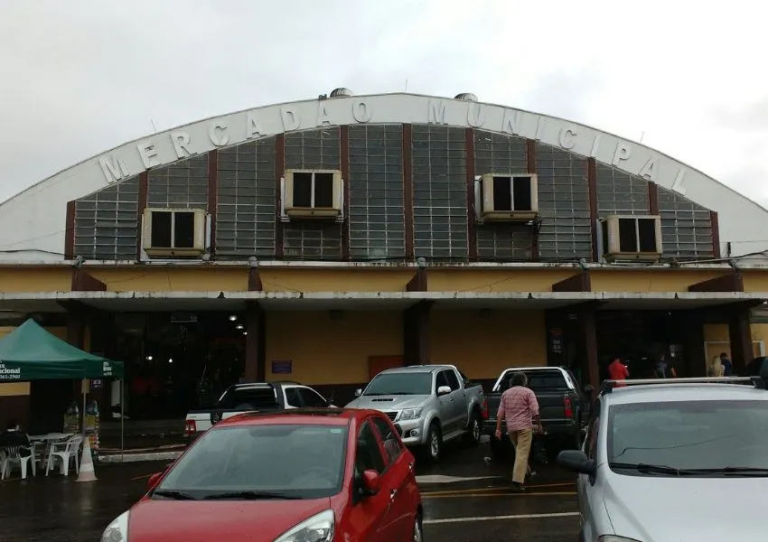 Mercadão Municipal de Campo Grande Arara Dicas