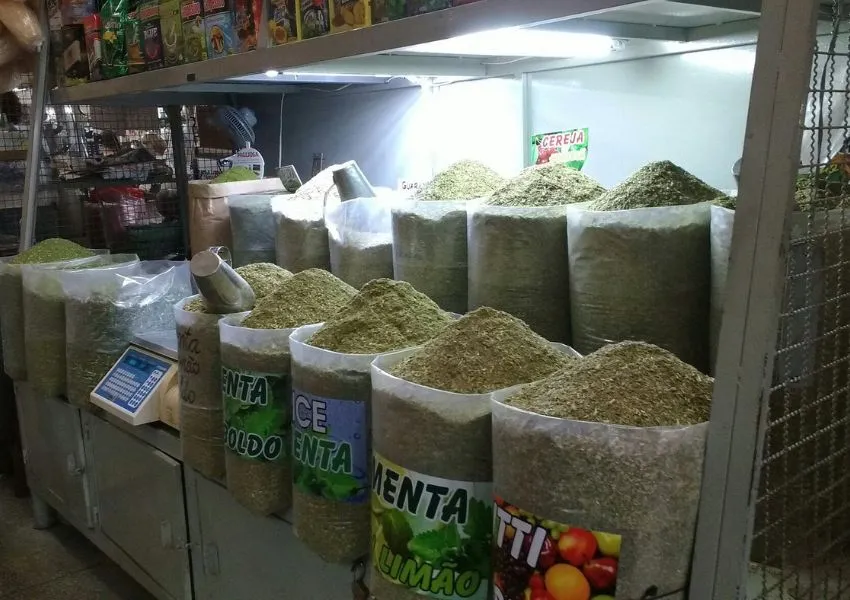 Mercadão Municipal de Campo Grande Arara Dicas