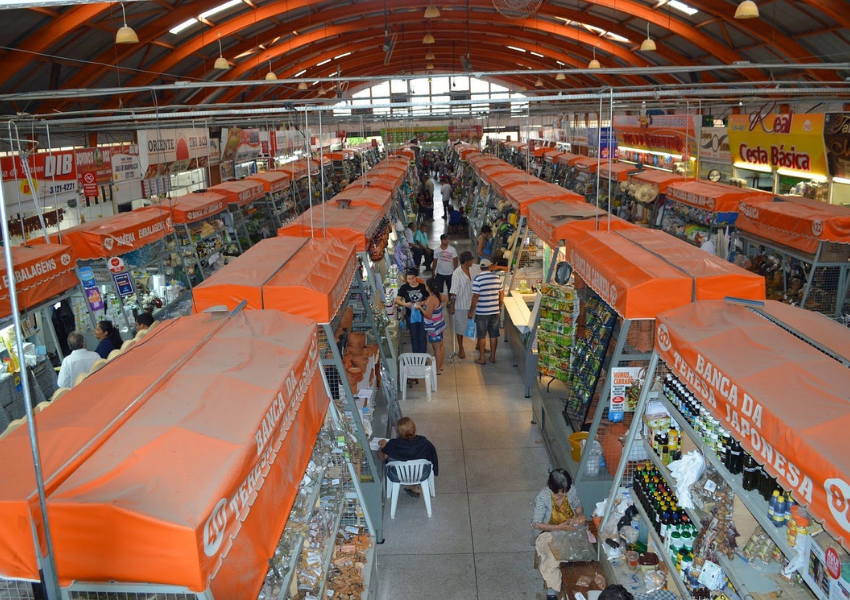 Mercadão Municipal de Campo Grande Arara Dicas