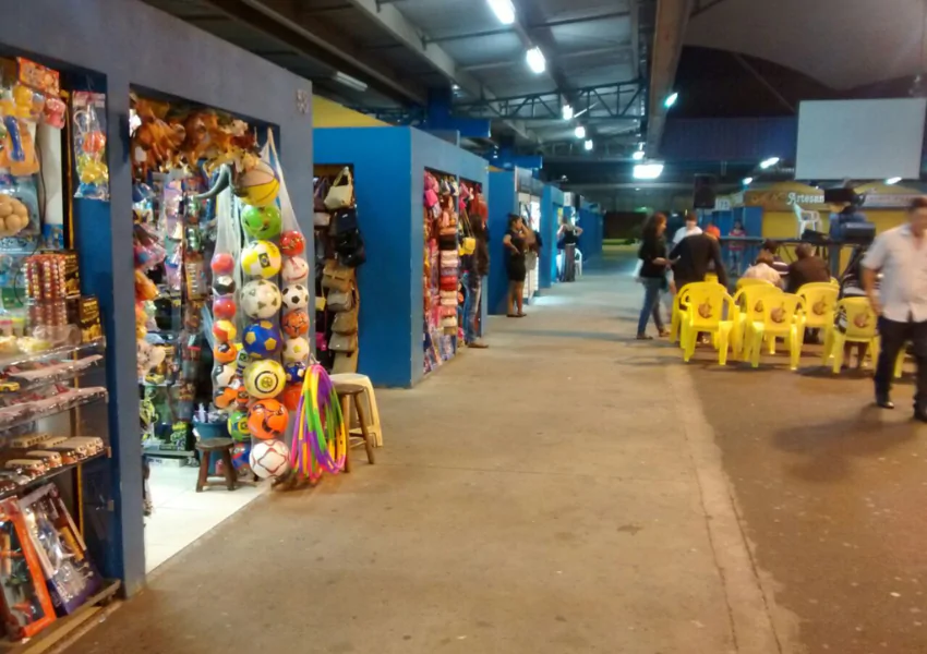 Feira Central de Campo Grande Arara Dicas