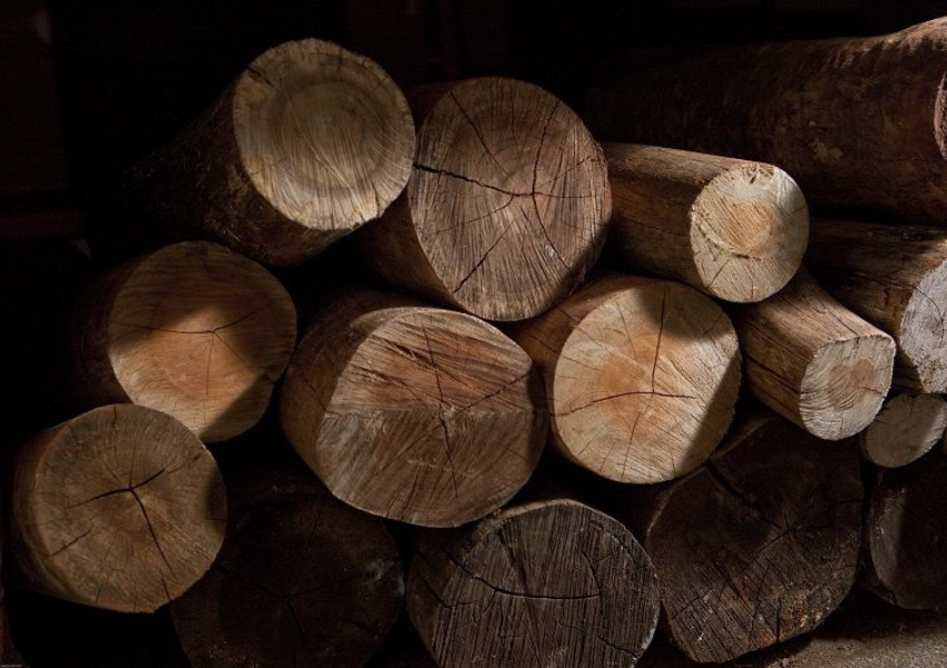 Villa da Pizza Arara Dicas (9)